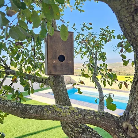 Hébergement de vacances Casa Com Piscina E Vista Montanha Alenquer